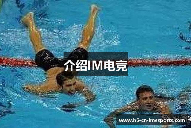 介绍IM电竞
